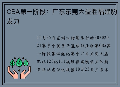 CBA第一阶段：广东东莞大益胜福建豹发力
